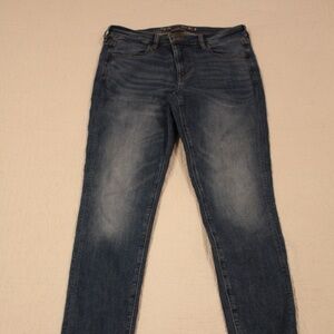 American Eagle Jegging 10 Long